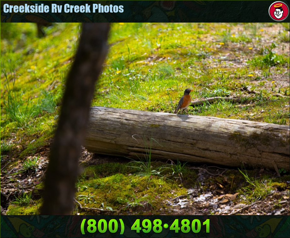 Creekside_Rv_Park_Photos