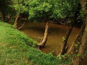 Walden's Creek 