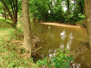 Walden's Creek