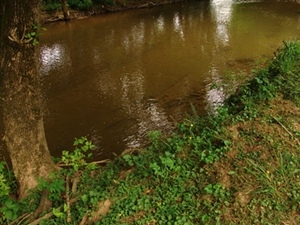 Walden's Creek 