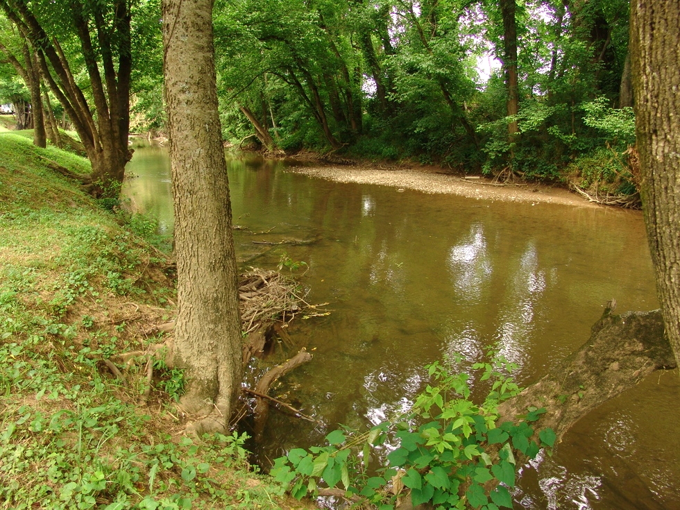 Walden's Creek 
