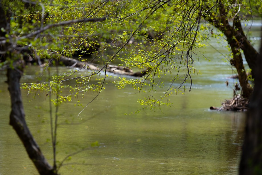 Creekside Rv Park’s Creek